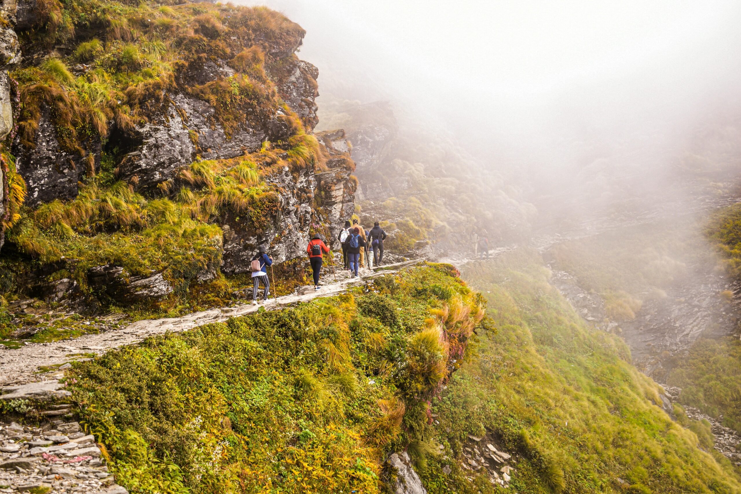 Trekking Expeditions