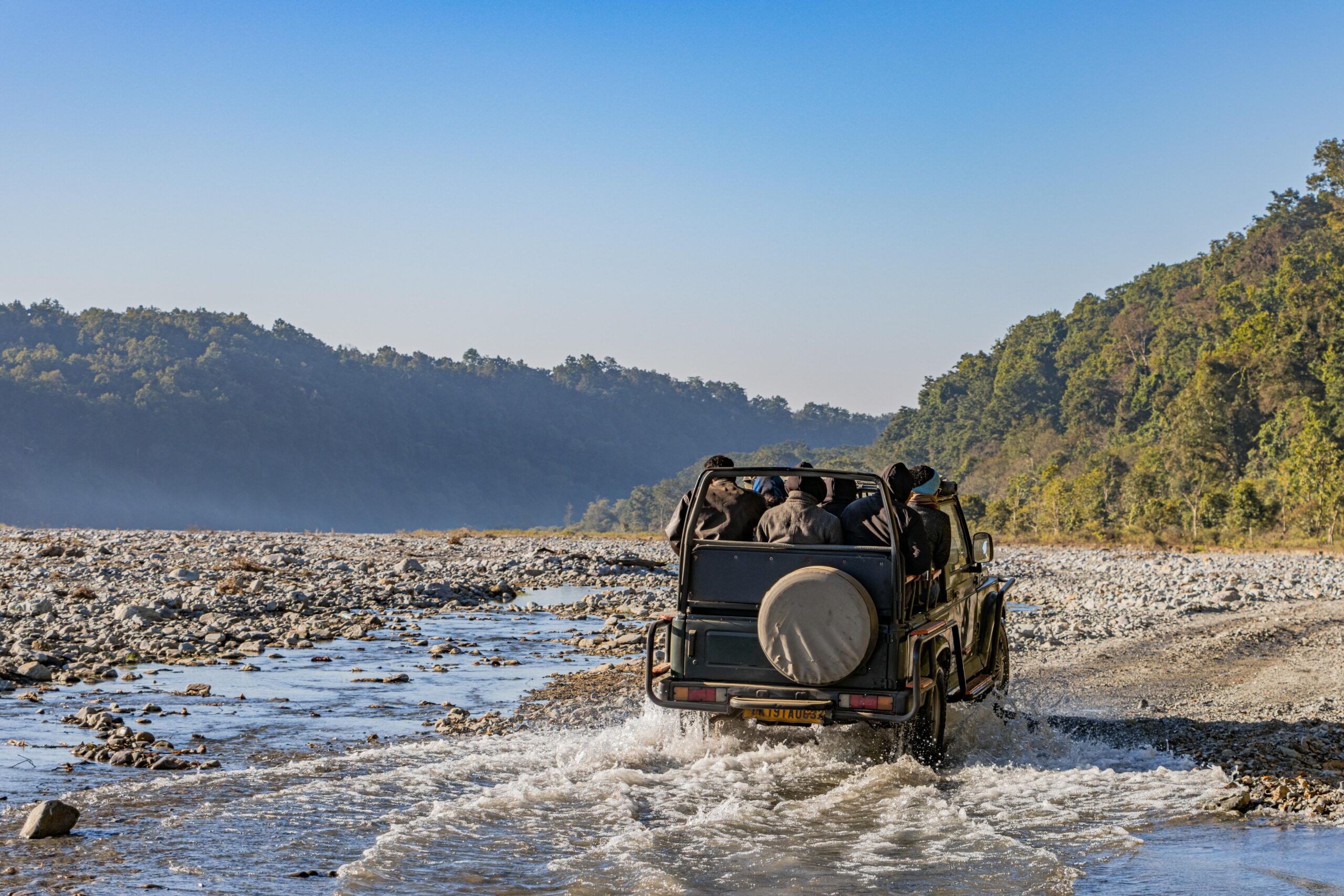 Wildlife Safaris