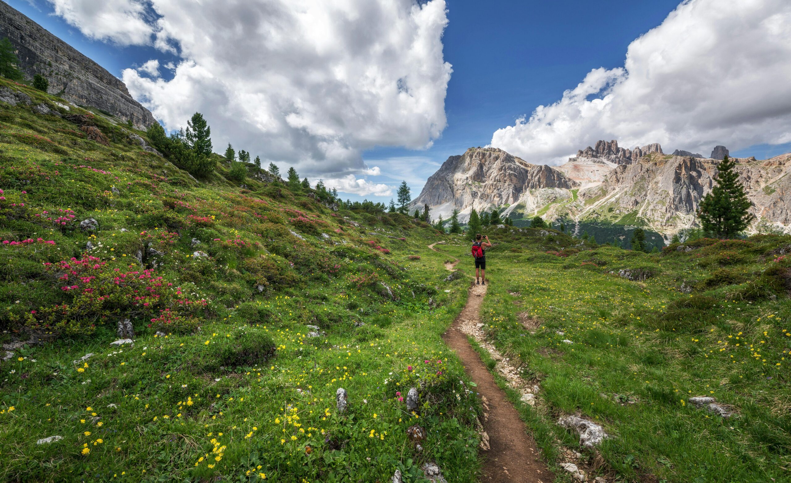 Valley of Flowers Trek